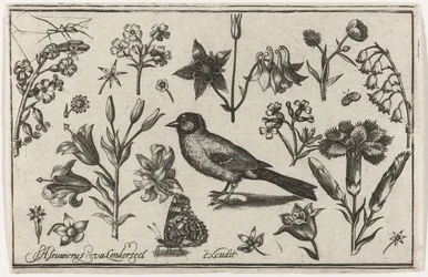Flowers, Butterfly, and a Bird