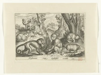 Monkeys, Cats, and Mice