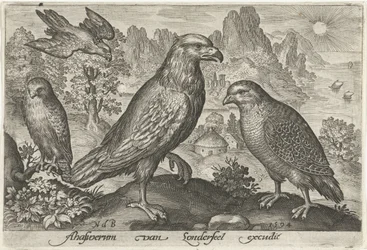 Eagle and Other Birds of Prey, Birds and Insects (series title)