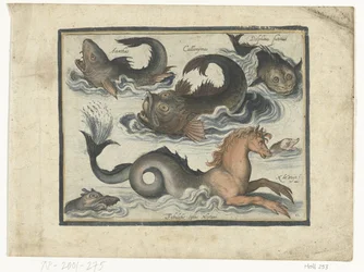 Fantastic Water Creatures, Including Seahorse