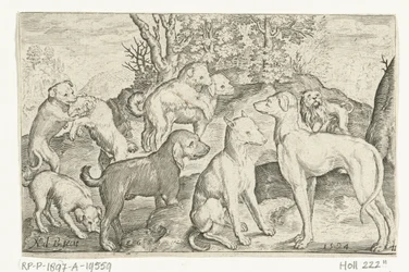 Nine Dogs