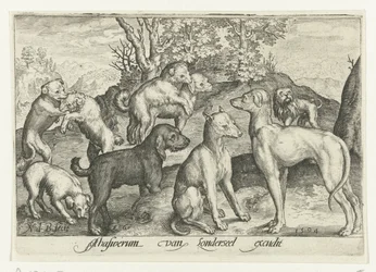 Nine Dogs