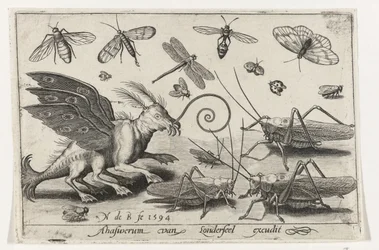 Grasshoppers and Fantasy Creature with Wings and Webbed Feet, Birds and Insects (series title)