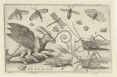 Grasshoppers and Fantasy Creature with Wings and Webbed Feet Birds and Insects (series title)
