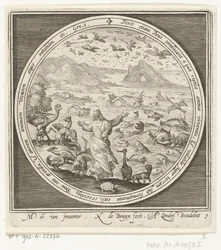 Fifth Day of Creation: God Creates Fish and Birds