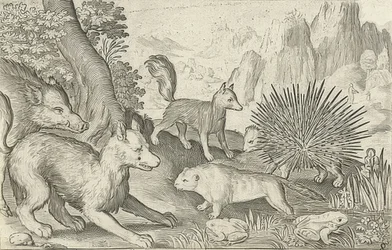 Wild Boar, Foxes, Beavers, Porcupine and Frogs. 1621