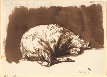 A Lying Bear
