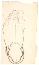 Sketch of a Foot Seen from Above. Heel Left