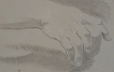 Study of a Hand