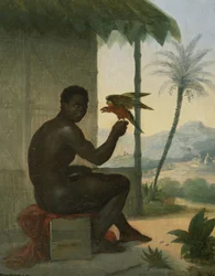 Black Brazilian with Tropical Bird