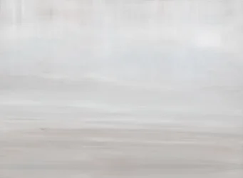 Soft Abstract Horizon