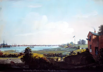 View of the City of New York and the Marine Hospital Taken from Wallabout