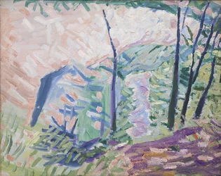 Forest near Bagsværd Lake