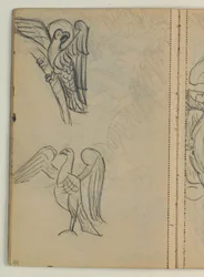 Studies of Birds, Probably After a Model