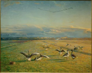 Autumn Migration. Wild Geese and Domestic Geese