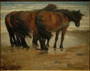 Four Horses. Kandestederne