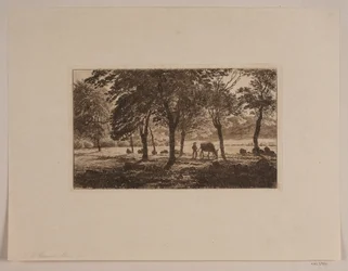 The Avenue