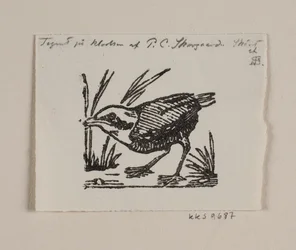 A Baby Bird
