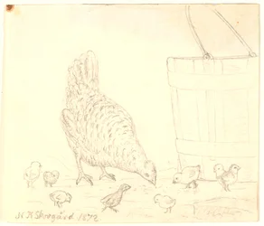 A Hen with Chicks