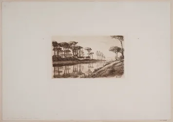 The Pine Forest at Classe