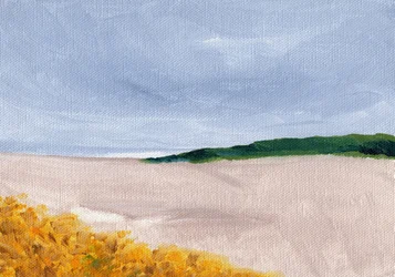 Golden Dunes Shore