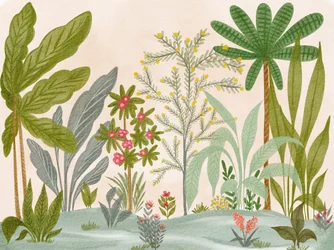 Lush Tropical Garden