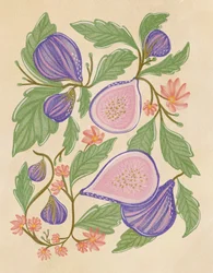Purple Figs and Flowers