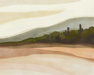 Saguaro Desert Hills