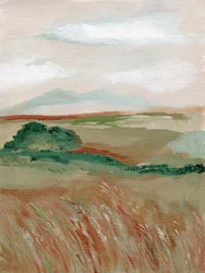 Serene Mountain Field
