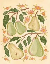 Sweet Green Pears
