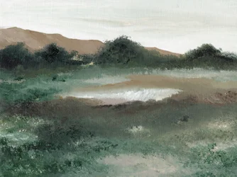 Tranquil Pond Reflection