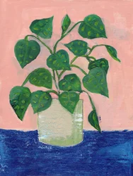 Vibrant Potted Houseplant