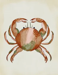 Watercolor Crab