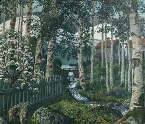 Birch Trees