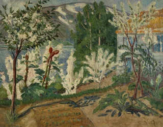 White Flowers by Jølster Lake