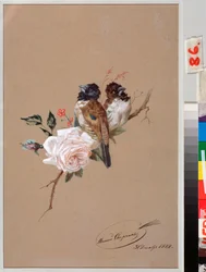 Two Birds on a Rose