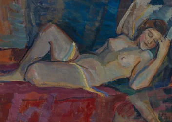 Nude. The Zone of Venus