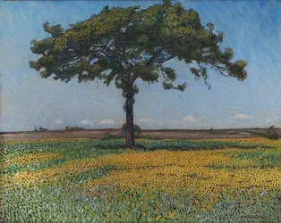 Young Oak