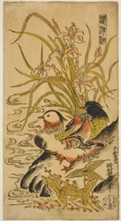 Mandarin Ducks, from the series "Kashinsai"