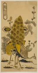 Hollyhocks and Peacocks