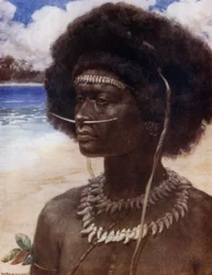 A New Guinea Dandy