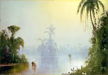 Tropical Haze