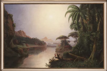 Tropical Landscape