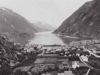 Odda