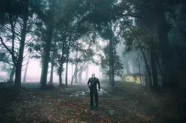 Lone Man Foggy Forest