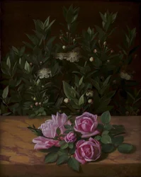 Roses and Myrtles