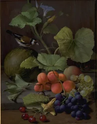 Still Life with Fruits and a Goldfinch