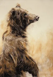 Grizzly Bear 2