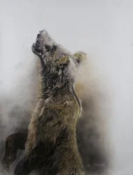 Grizzly Bear 3, 2009
