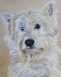 Hamish